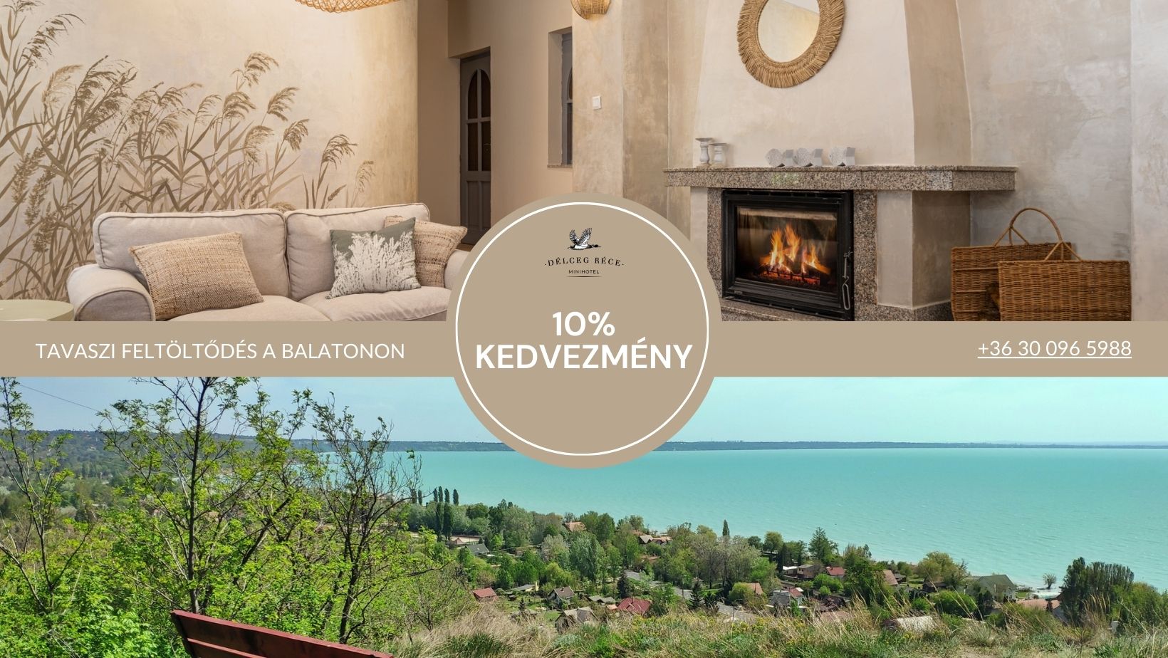 tavaszi feltöltődés balaton délceg réce tavaszi feltöltődés balaton délceg réce